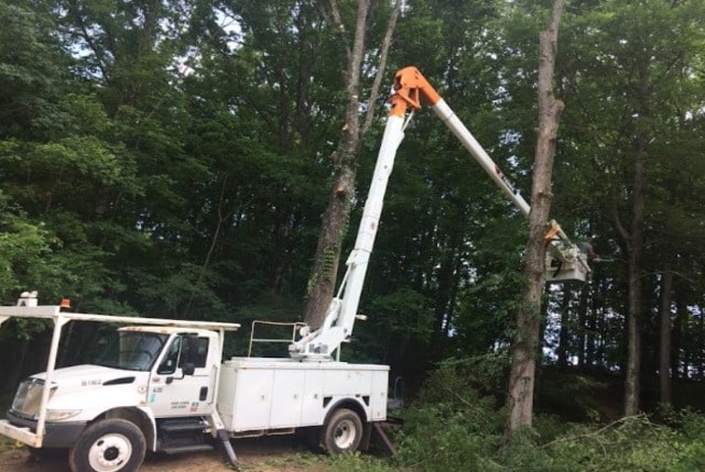 Emergency Tree Services