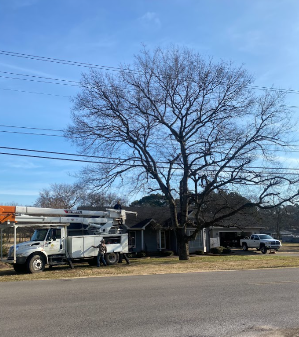 Volunteer Tree Company Offers Utility Line Clearing in Franklin, TN