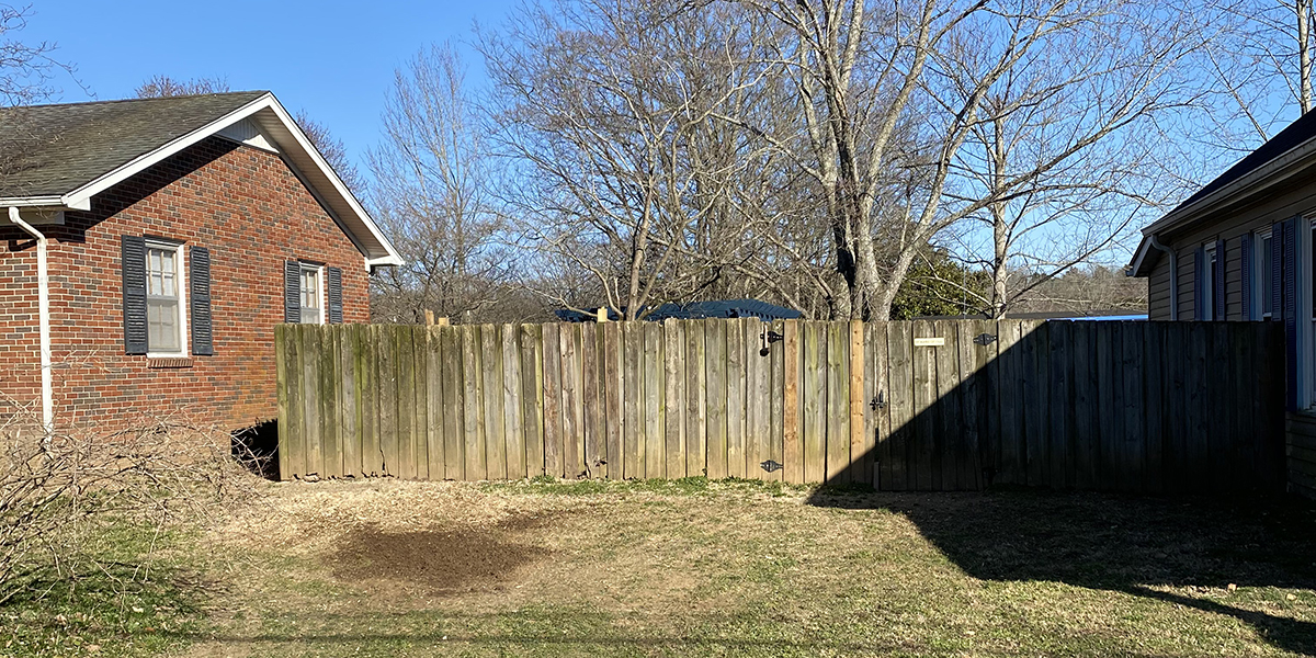 Can You Cut Back Your Neighbor's Overhanging Tree Branches?