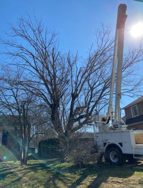 Tree Care Professionals In Columbia, TN Offer Emergency Tree Services